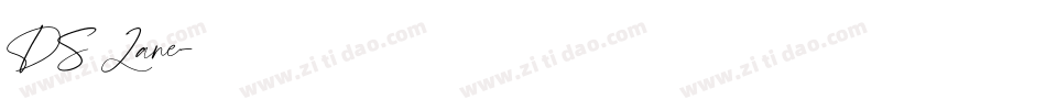 DS Lane字体转换